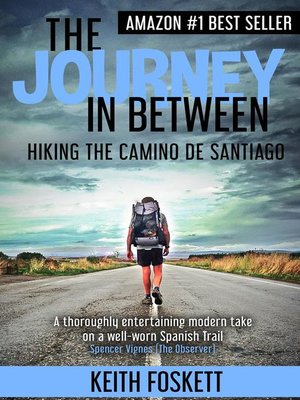 The Journey in Between - ebook